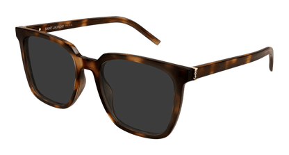 Havana Sunglasses Saint Laurent 889652555928