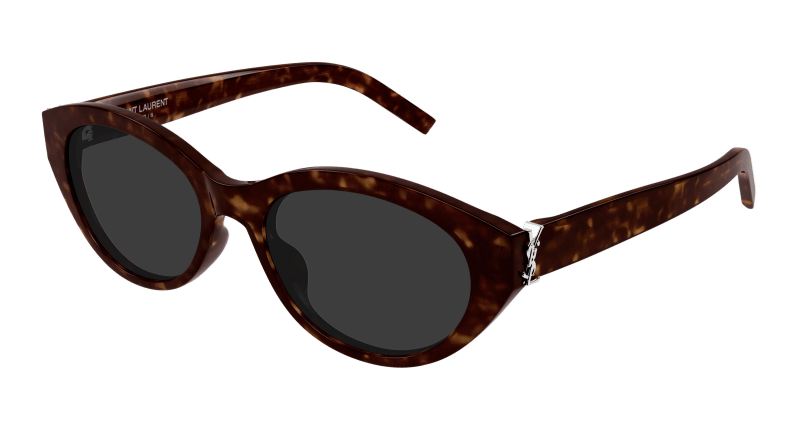 Havana Sunglasses Saint Laurent 889652556284