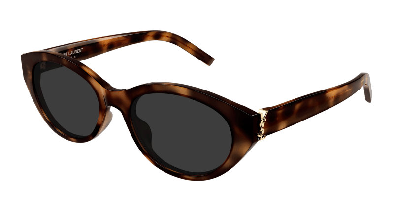 Havana Sunglasses Saint Laurent 889652556413