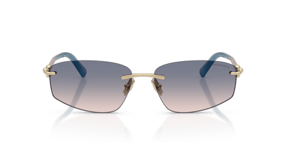 0TF3114 Pale Gold / Light Brown Gradient Blue (619116) front view image 4 barcode 8056262541548