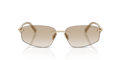 0TF3114 Pale Gold front view image 4 barcode 8056262541531