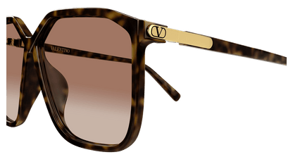 Valentino VG0025S Havana 889652666143