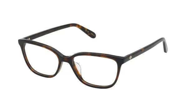 VML131 - OPT.FRAMES MULBERRY - Mulberry - HAVANA BROWN - 50mm - Ardor Eyewear