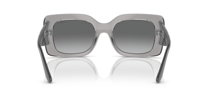 Transparent Grey - 0VO5481S 8056262019146