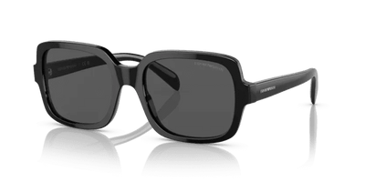  Emporio Armani 0EA4195 - Sunglasses -  Emporio Armani -  Ardor Eyewear