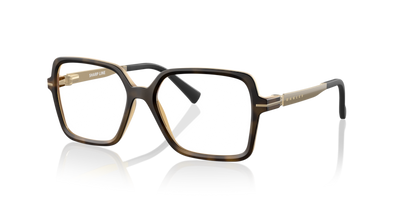  Oakley Optical 0OX8172 Sharp line - Glasses -  Oakley -  Ardor Eyewear